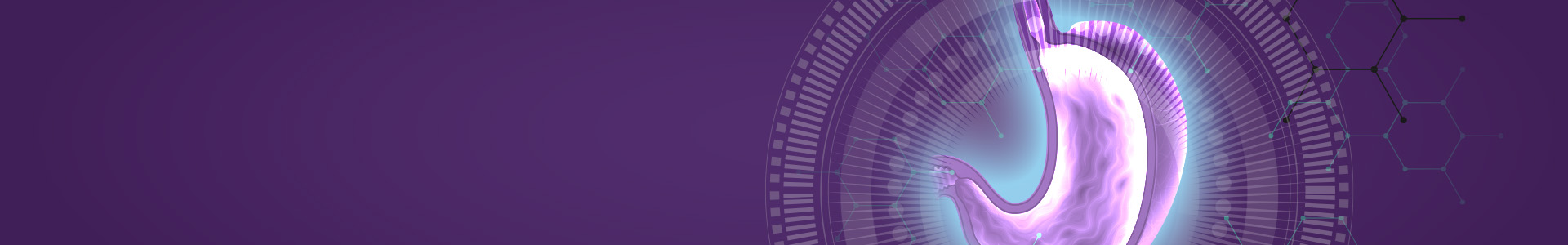 Digital illustration of stomach on purple background