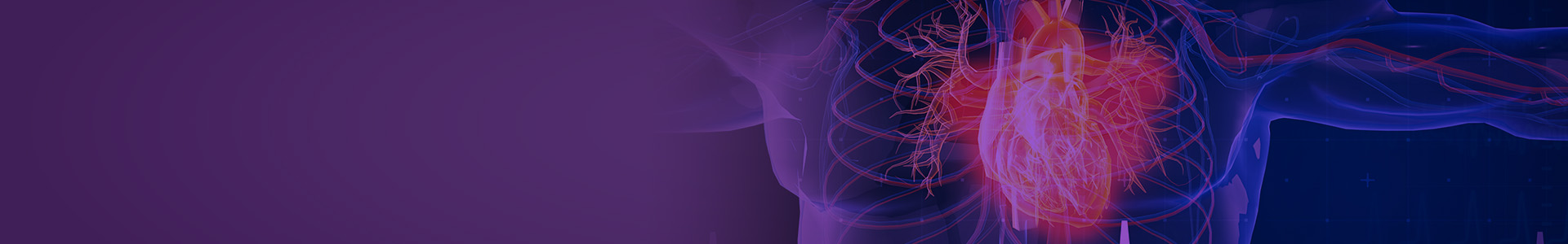 Digital illustration of human heart and arteries